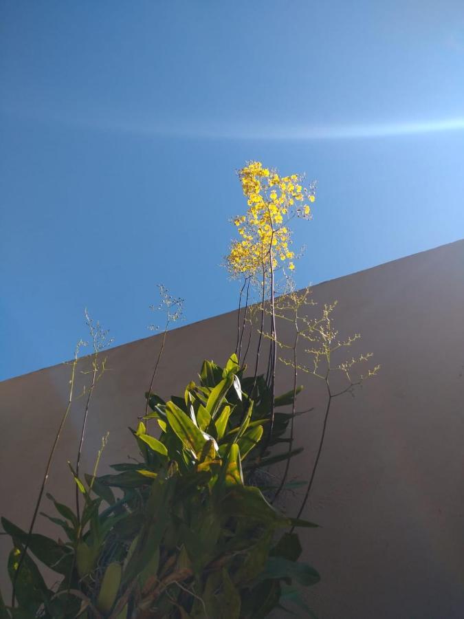 Nossa casinha Atibaia - linda vista pra Pedra Grande Exterior foto