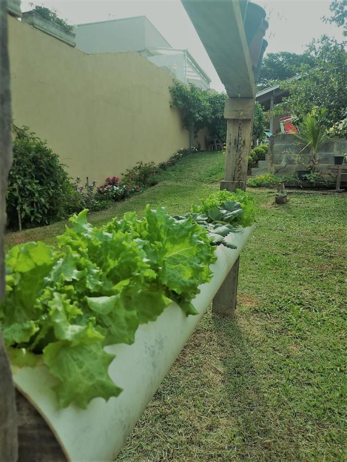 Nossa casinha Atibaia - linda vista pra Pedra Grande Exterior foto